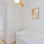 Deanes Califa 5 Cordova